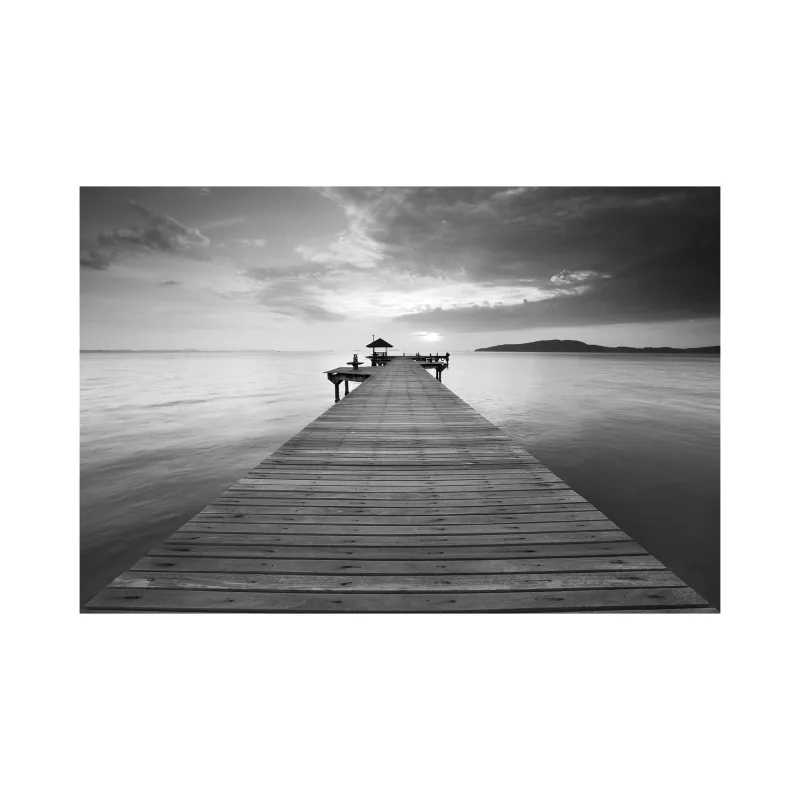 PIER | Cobra Art