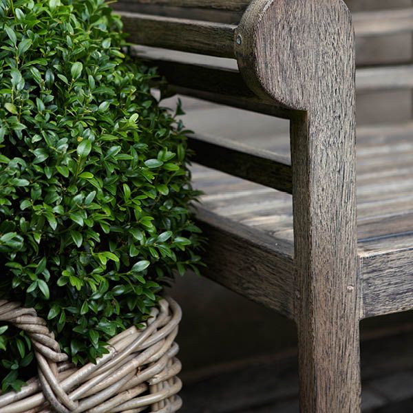 Autumn Leaf 3-pack - Artwood